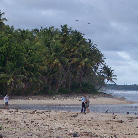 100_2634 100_2634