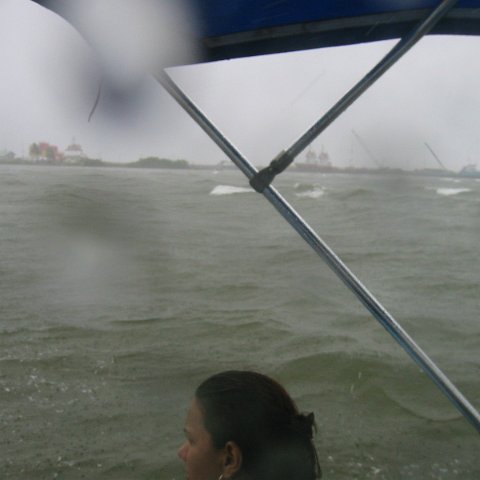 IMG_0296 IMG_0296