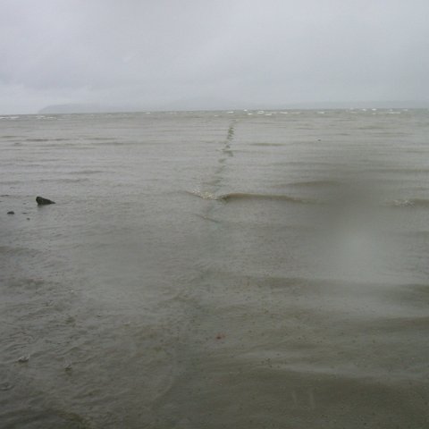 IMG_0305 IMG_0305