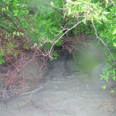 IMG_0306 IMG_0306