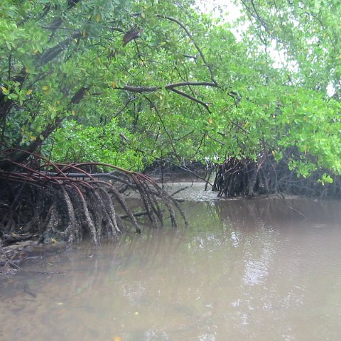 IMG_0317 IMG_0317