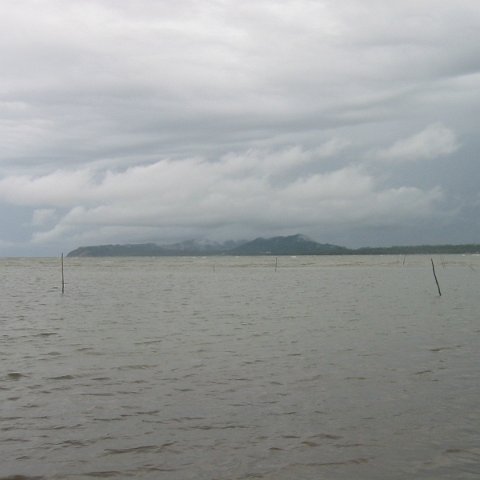 IMG_0320 IMG_0320