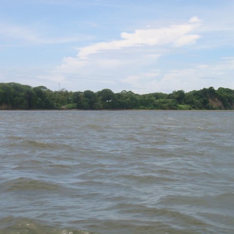 IMG_0324 IMG_0324