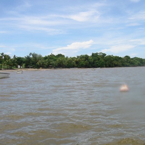 IMG_0330 IMG_0330