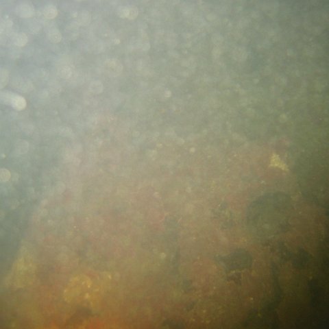 IMG_0343 IMG_0343