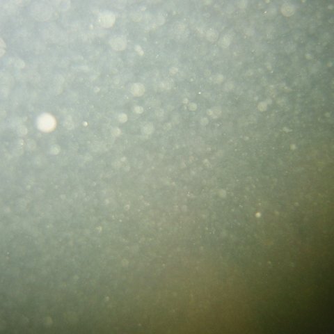 IMG_0344 IMG_0344