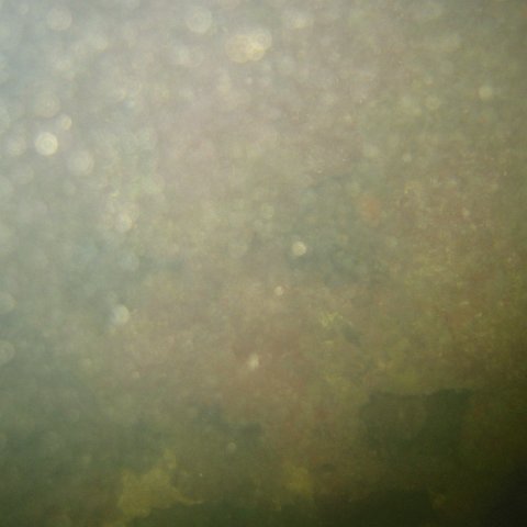 IMG_0345 IMG_0345