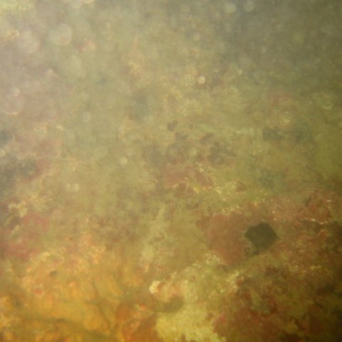 IMG_0346 IMG_0346