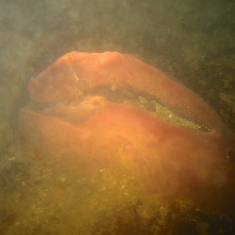 IMG_0348 IMG_0348