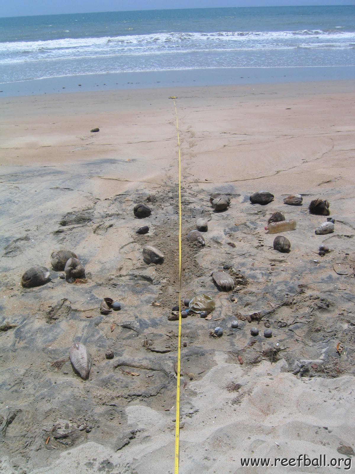 NGC Profile 1 033