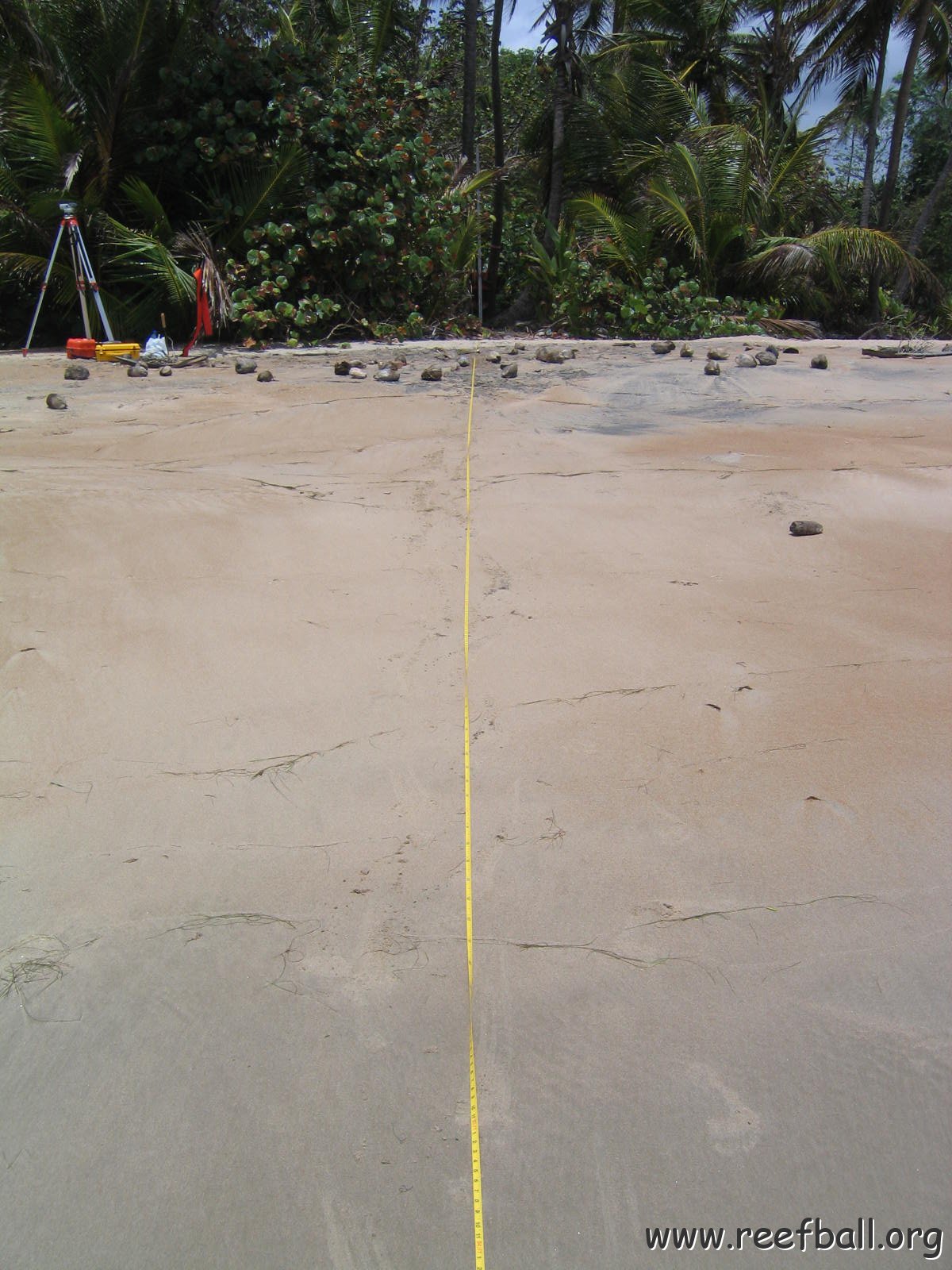 NGC Profile 1 034