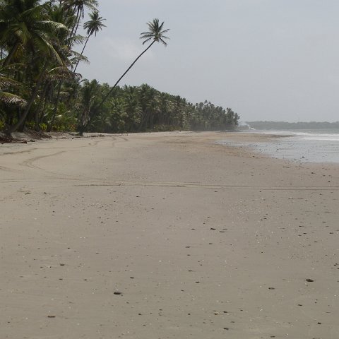 IMGP3837 IMGP3837