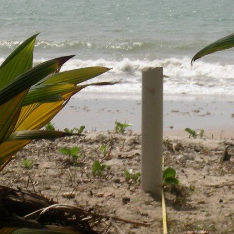 IMGP3840 IMGP3840