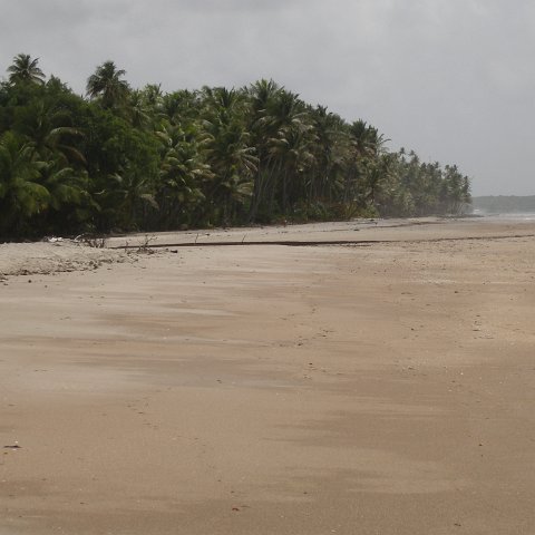 IMGP3844 IMGP3844