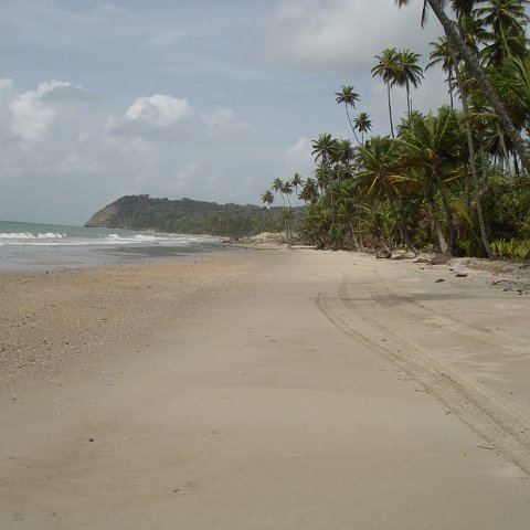 IMGP3845 IMGP3845