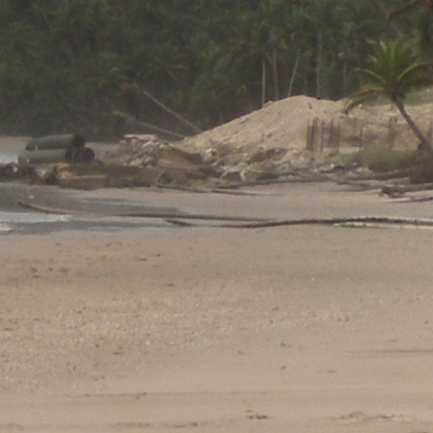 IMGP3850 IMGP3850