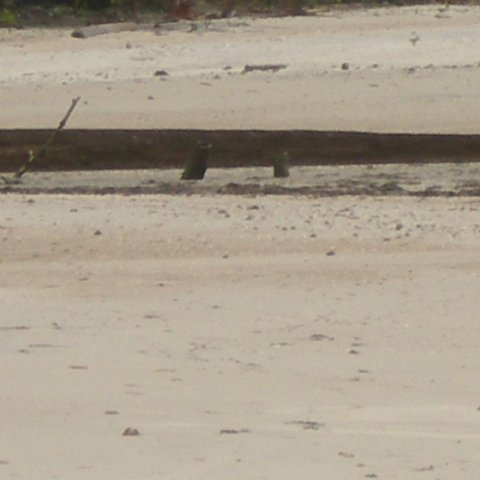 IMGP3851 IMGP3851