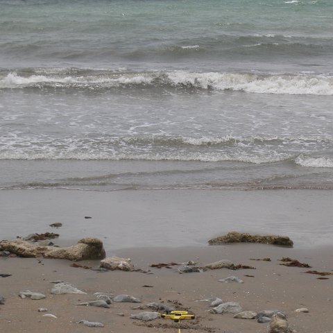 IMGP3856 IMGP3856