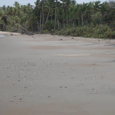 IMGP3858 IMGP3858