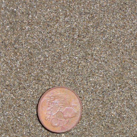 IMG_0150 IMG_0150