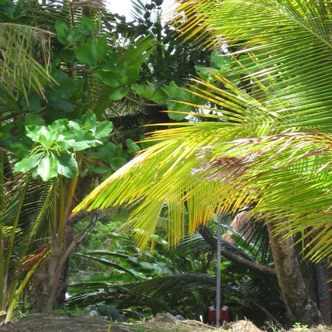 IMG_0154 IMG_0154