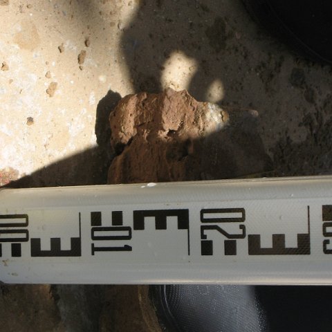 IMG_0165 IMG_0165