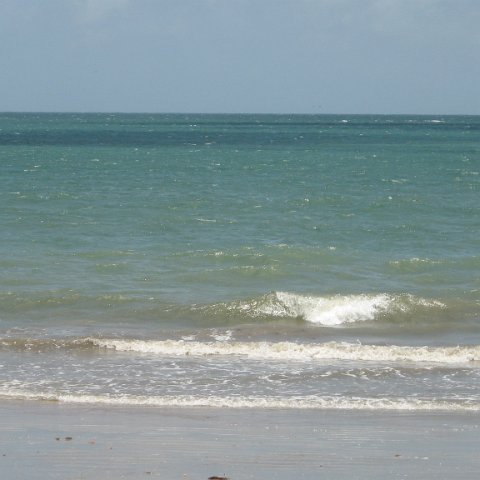 IMG_0175 IMG_0175