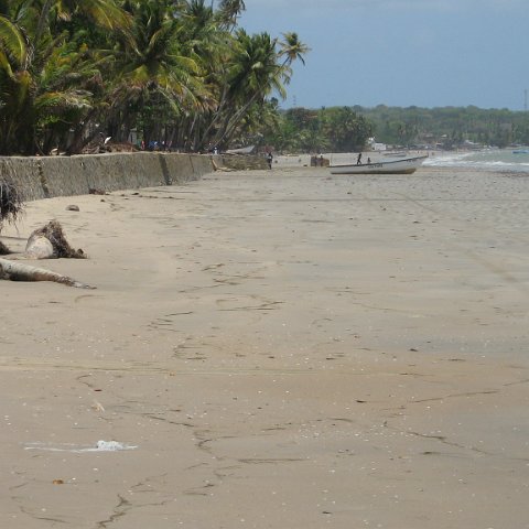 IMG_0177 IMG_0177
