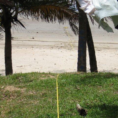 IMG_0187 IMG_0187