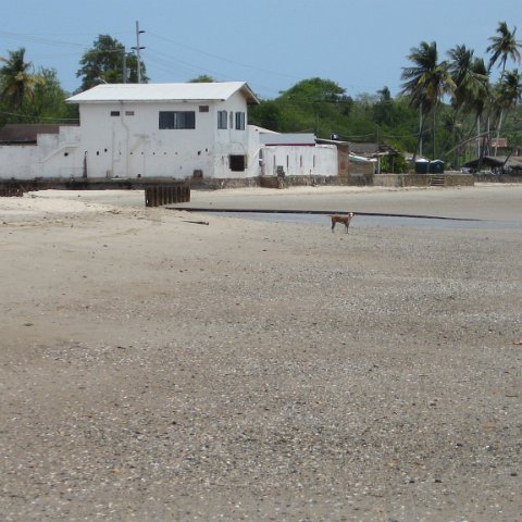 IMG_0190 IMG_0190