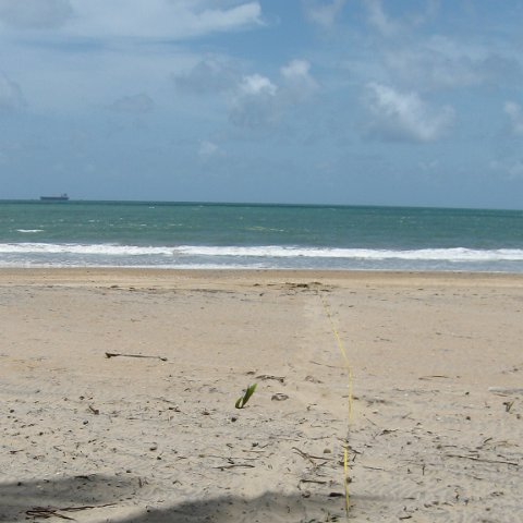 IMG_0200 IMG_0200