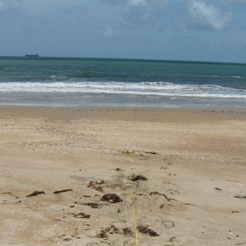IMG_0201 IMG_0201