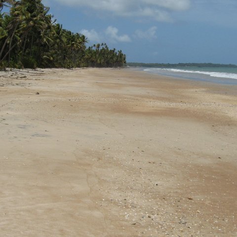 IMG_0203 IMG_0203