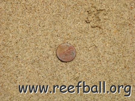 Surficial Sediment
