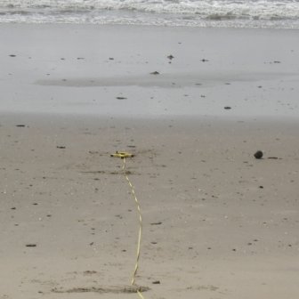 Offshore 1
