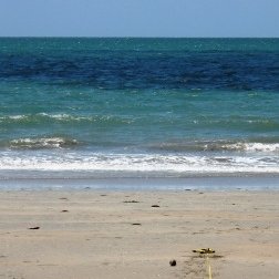 Offshore 1