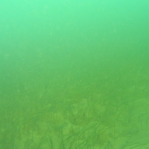 219_1951 219_1951