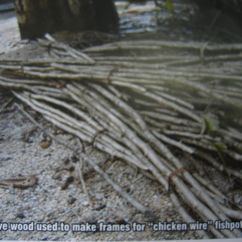 IMG_9203 IMG_9203
