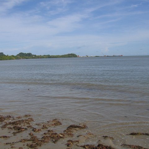IMG_9245 IMG_9245