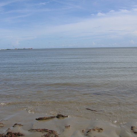 IMG_9246 IMG_9246