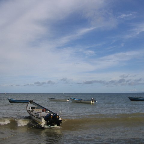 IMG_9251 IMG_9251