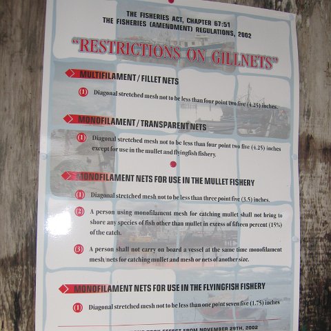 IMG_9257 IMG_9257