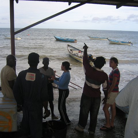 IMG_9262 IMG_9262