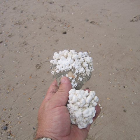 IMG_9264 IMG_9264