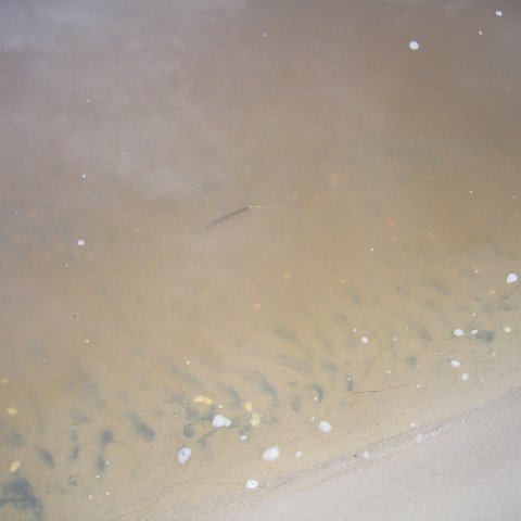 IMG_9275 IMG_9275