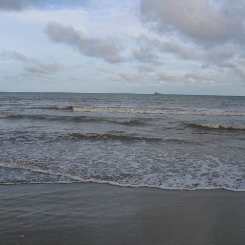 IMG_9282 IMG_9282
