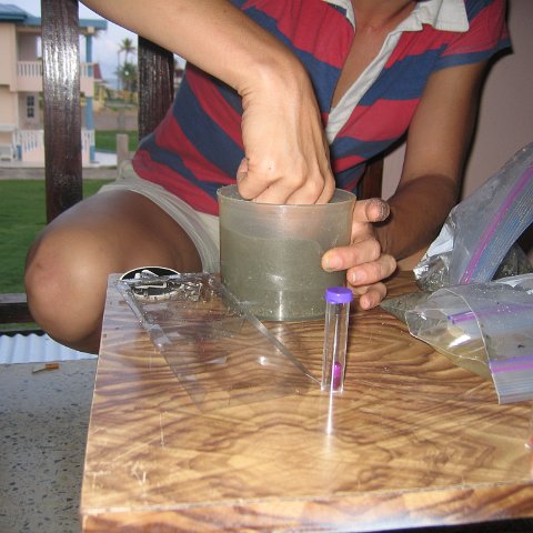IMG_9286 IMG_9286