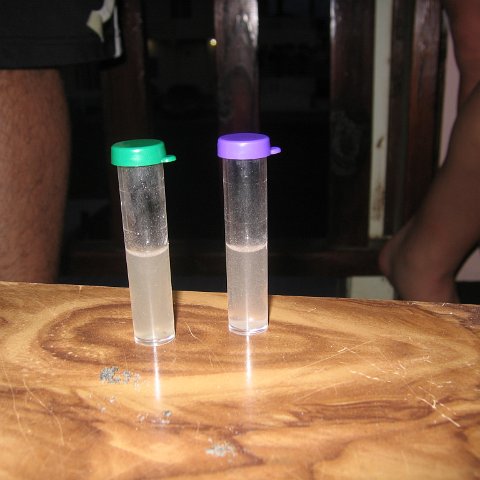 IMG_9298 IMG_9298