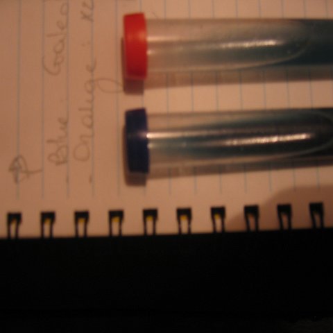 IMG_9300 IMG_9300
