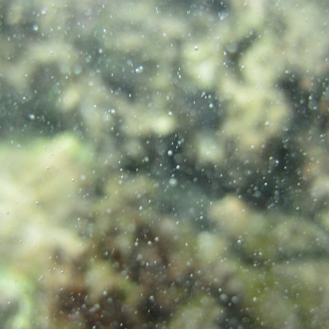 IMG_1284 IMG_1284